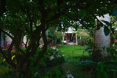 Bras-Panon Bed & Breakfast | LE MEDINILLA