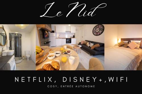 Villefranche-de-Rouergue Apartment | Le Nid 3 étoiles Wifi, Netflix, Disney, Coeur de Bastide