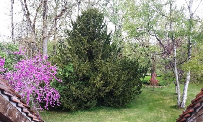 Brion Bed & Breakfast | Le Parc des Aubiers
