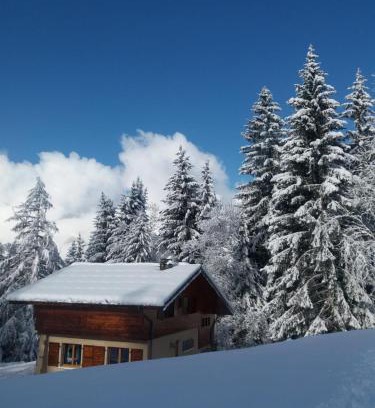 Les Carroz-d'Araches Ski Chalet | Le Pimpiollet
