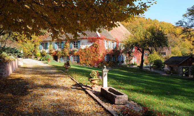 Murbach House | Le Schaeferhof