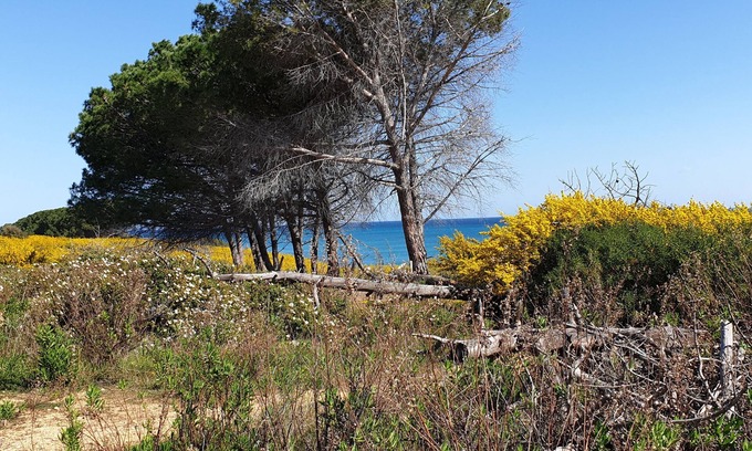 Bravone Apartment | Le Temps D'une île en Tout Compris