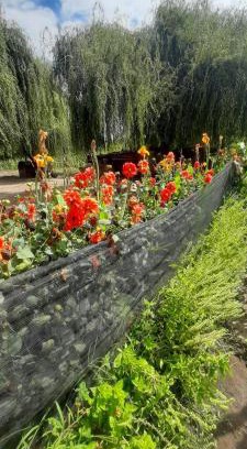 Tunuyan House | Lela colonia