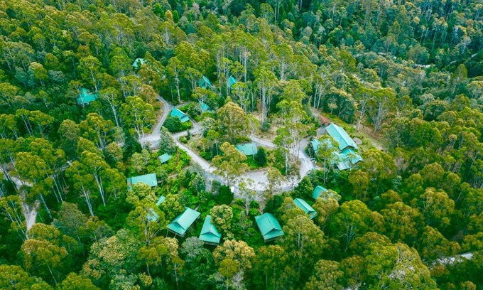 Moina Hotel | Lemonthyme Wilderness Retreat