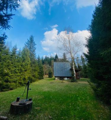 Hnilcik Ski Chalet | Lenivka