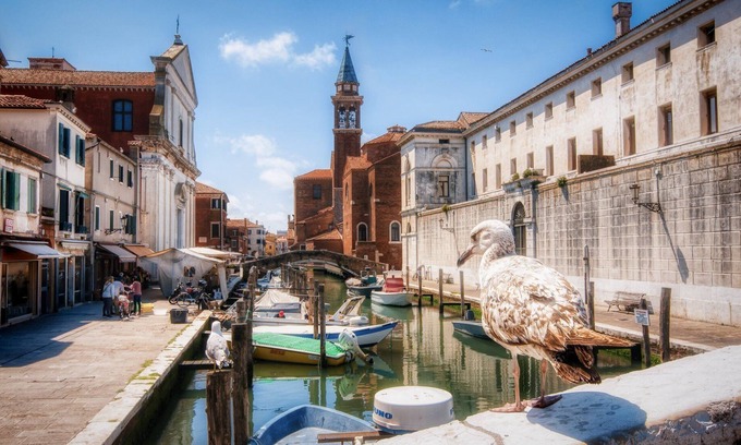 Chioggia House | Leo's Dream House - Holiday Home