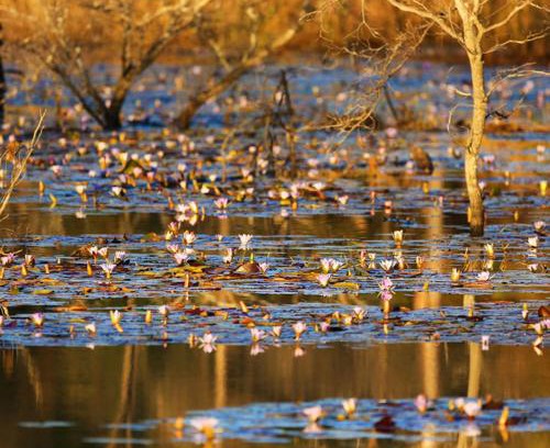 Waterberg Other | Leopard Ranch - Luxury Tented Camp