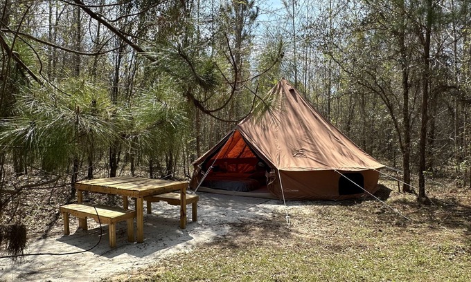 Tallahassee Other | Leroys Lounge XL Bell tent sleep 8 FARM therapy mini horse, cows, goats & chicks