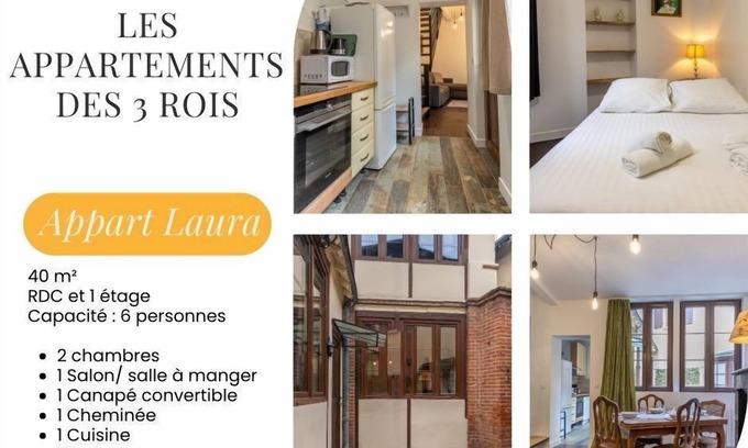 Romorantin-Lanthenay Apartment | Les 3 rois: Laura apartment with terrace