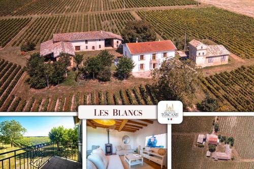 Lisle-sur-Tarn House | Les Blancs - Au coeur des vignes - Piscine
