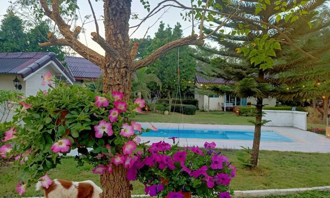 Pak Chong Hotel | Les Collines Resort