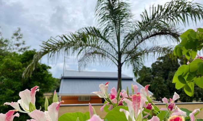 Anse-Bertrand Apartment | Les Gîtes du Manguier