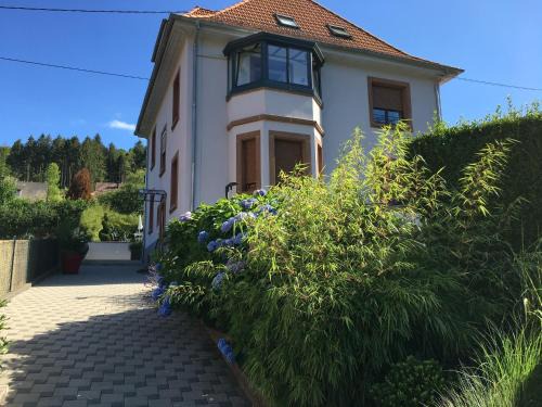 Barembach Apartment | Les magnolias en Alsace - meublé de tourisme 3 étoiles
