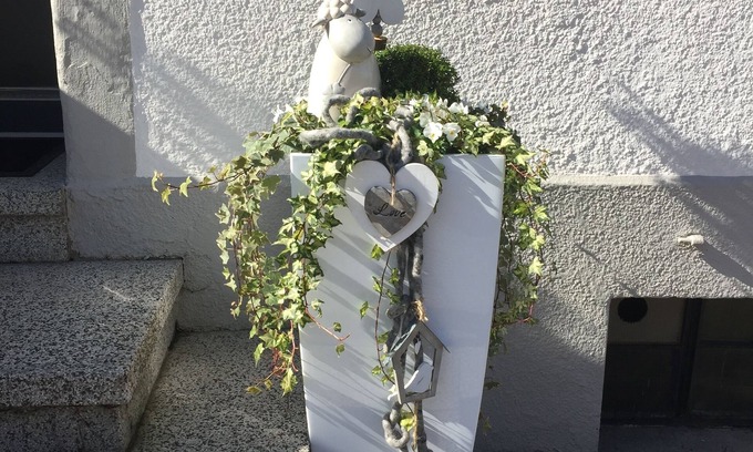 Zetting Bed & Breakfast | Les Myosotis