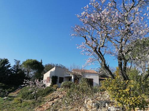 Saint-Jean-de-Minervois House | Les romarins