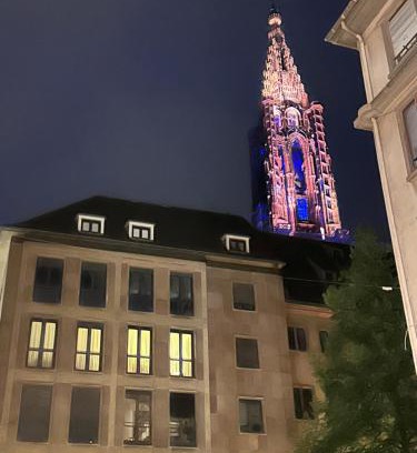 City-Centre - Petite France House | Les toits de Gutenberg