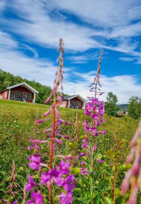 Tana Cabin | Levajok Lodge