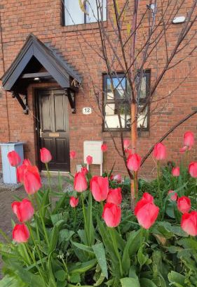 The Liberties House | Liberty Townhouses