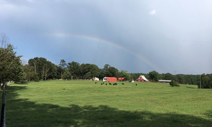 Baldwin House | Life on the farm with Pool! 1+ hour to ATL, Close to great hiking in No GA Mtns