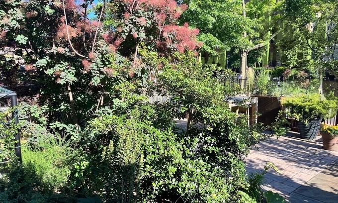 Columbia Heights House | Light-filled spot; perfect location