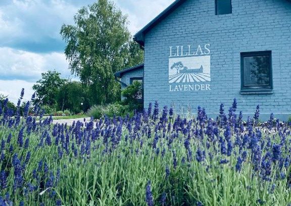 Saldus House | LillasLavender Kurzeme