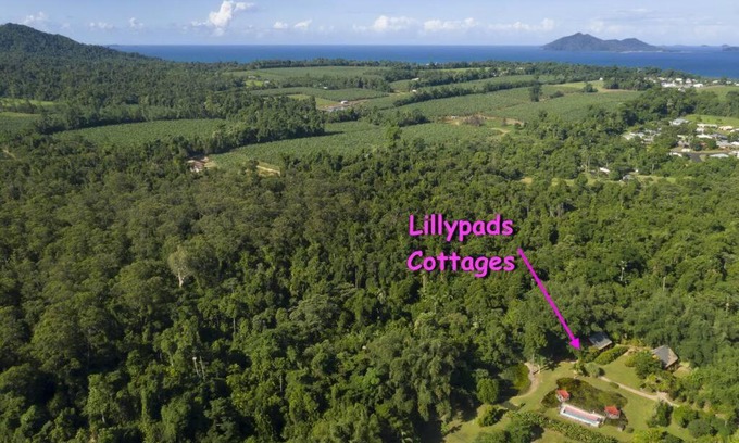 Mission Beach House | Lillypads Red Cottage - Rainforest Tranquility