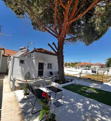 Mirina House | Limnos Twin Pine