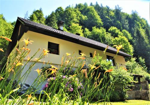 Lower Carniola Region House | LINCA Hiška pod slapom