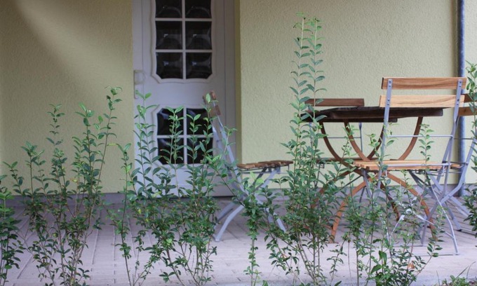 Blankenhain Apartment | Lindenstube