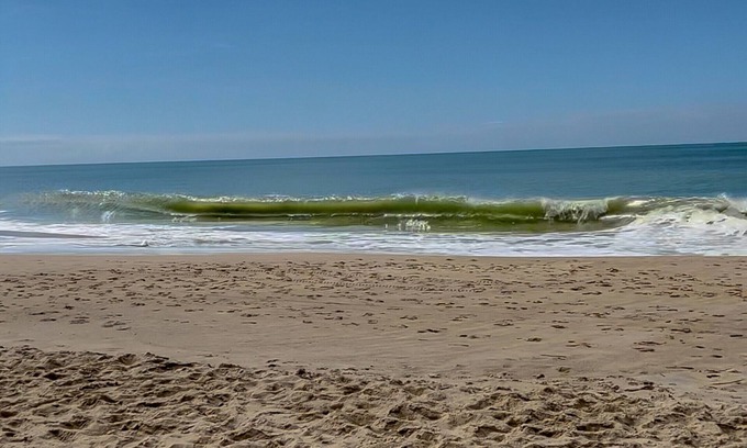 Barra Velha Apartment | Lindo apto com vista à 200m da Praia de Itajubá-SC