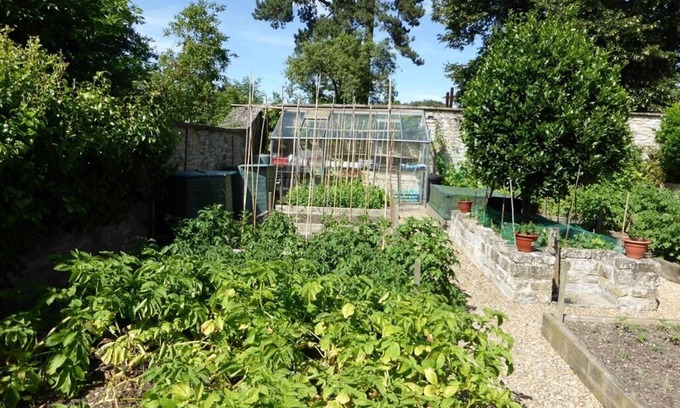 Ilchester Bed & Breakfast | Liongate House