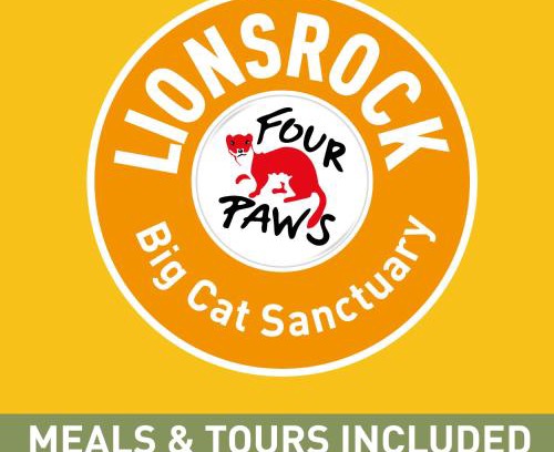 Bethlehem Cabin | LIONSROCK Big Cat Sanctuary