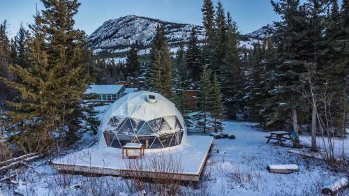 Tagish Cabin | Little Atlin Lodge