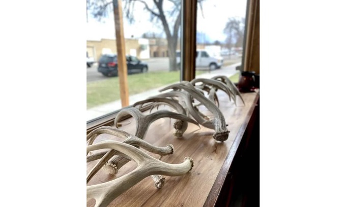 Fort Benton House | Little Blue Cabin