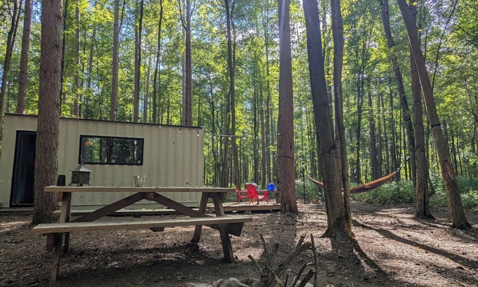 Langton Cabin | Little Can in the Pines - Bunkie No. 2