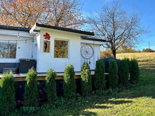 Vadu Crisului Villa | Little Dreamcatcher in Vadu Crisului Tomnatic Bihor Apuseni