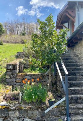 Aetia Apartment | Little Garden cabin