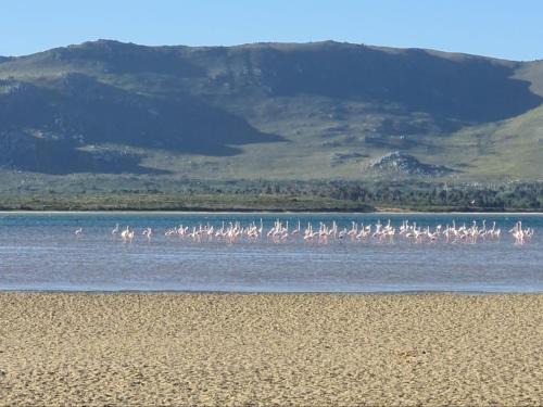 Fisherhaven Ski Chalet | Little Haven 10 & 12