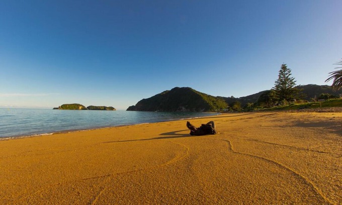 Tata Beach House | Little Nikau - Tata Beach Holiday Home