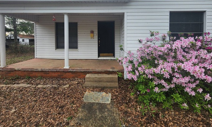 Springhill House | Little White House on Dennis Street