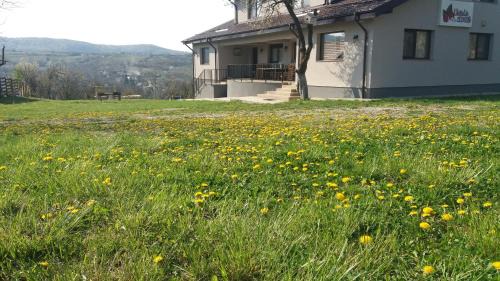 Mihaesti House | Livada de Zmeura