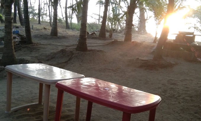 Malvan House | Live young, live free.