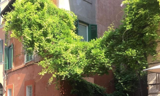 Trastevere Apartment | LivinginRome | Trastevere - vicolo Del Piede