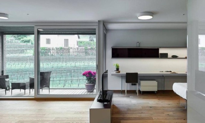 Stabio Apartment | Lo Scudo di Stabio - 50 m² vineyard view LST