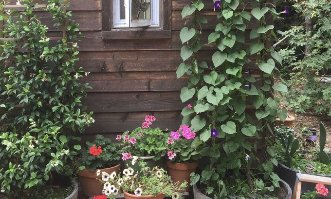 Graton House | Loads of Character!