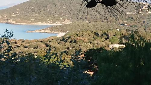 Corbara Villa | LOCANOMA
