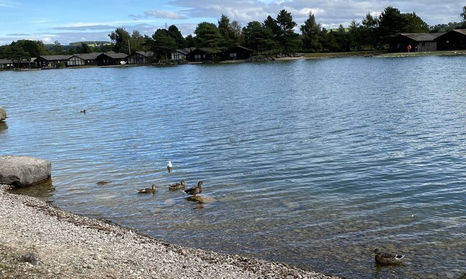 Carnforth Cabin | Lodge at PineLakes resort