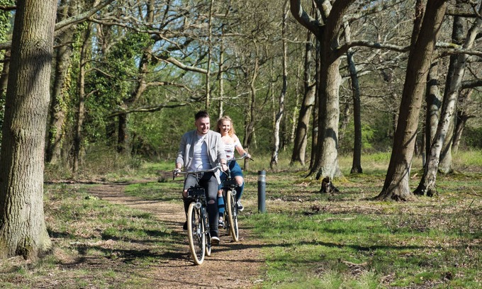 Whiteley Hotel | Lodge at Solent