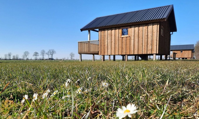 Ruinerwold House | Lodge by Dutch Meadows with Scenic Veranda