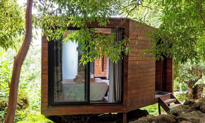 Biscoitos Cabin | (Lodge Vista Floresta)